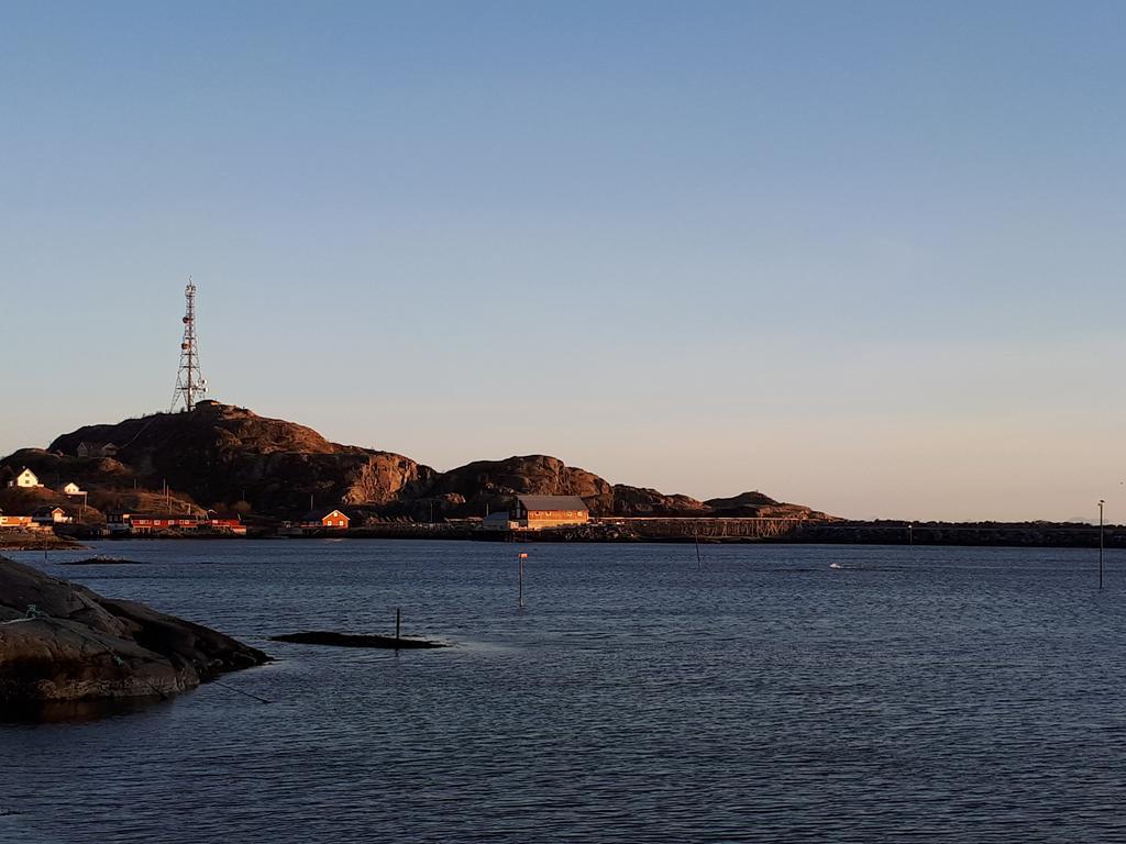 Sjøhaug Rorbu Apartment Moskenes Bagian luar foto