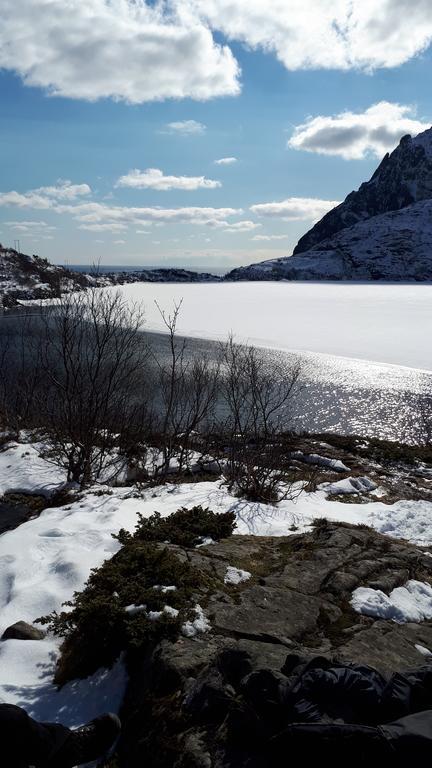 Sjøhaug Rorbu Apartment Moskenes Bagian luar foto