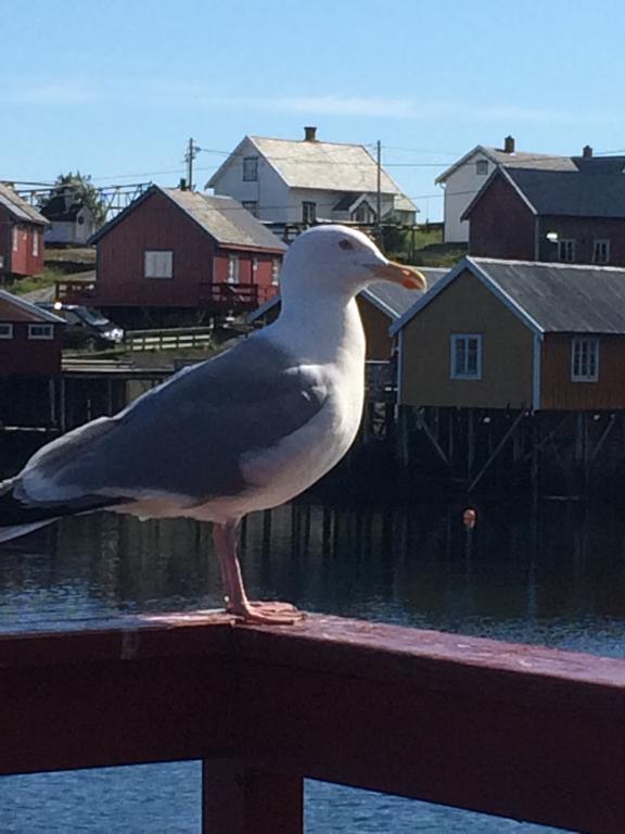Sjøhaug Rorbu Apartment Moskenes Bagian luar foto